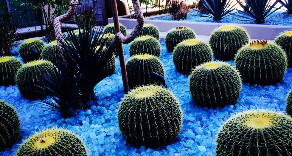 The W Scottsdale, AZ