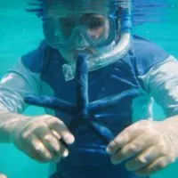 Castaway Island, Fiji Blue Starfish, puerto vallarta snorkeling tours,water activities in Cancun