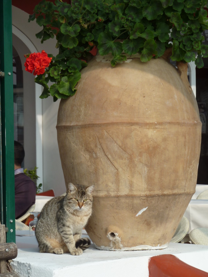 Positano, Italy, Positano Beach, Positano Luxury Hotels