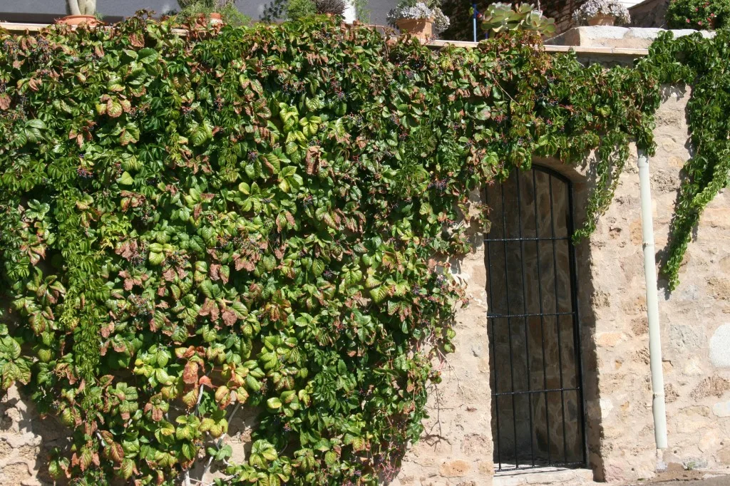 L'Estartit, Costa Brava, Spain 