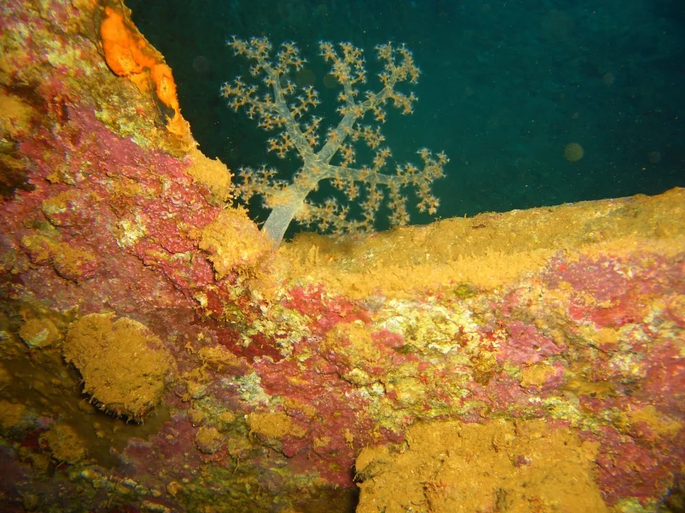 Aqaba, Jordan