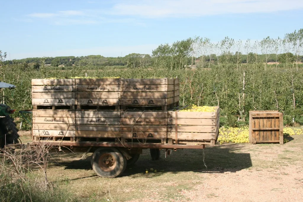 Apples in Costa Brava, Spain