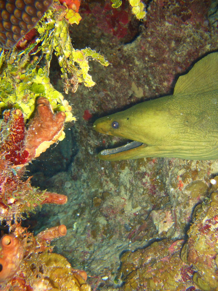 Underworld of Belize