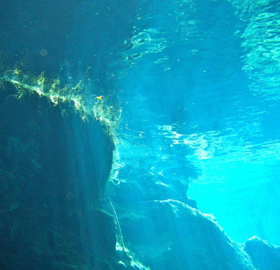 Riviera Maya Cenotes, cenotes mexico, mexico cenotes