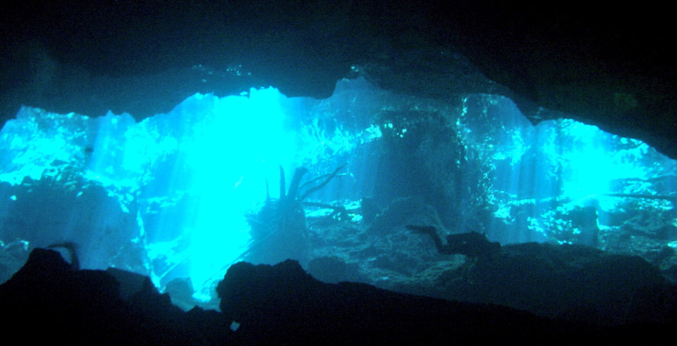 Cancun and Riviera Maya Cenotes underwater