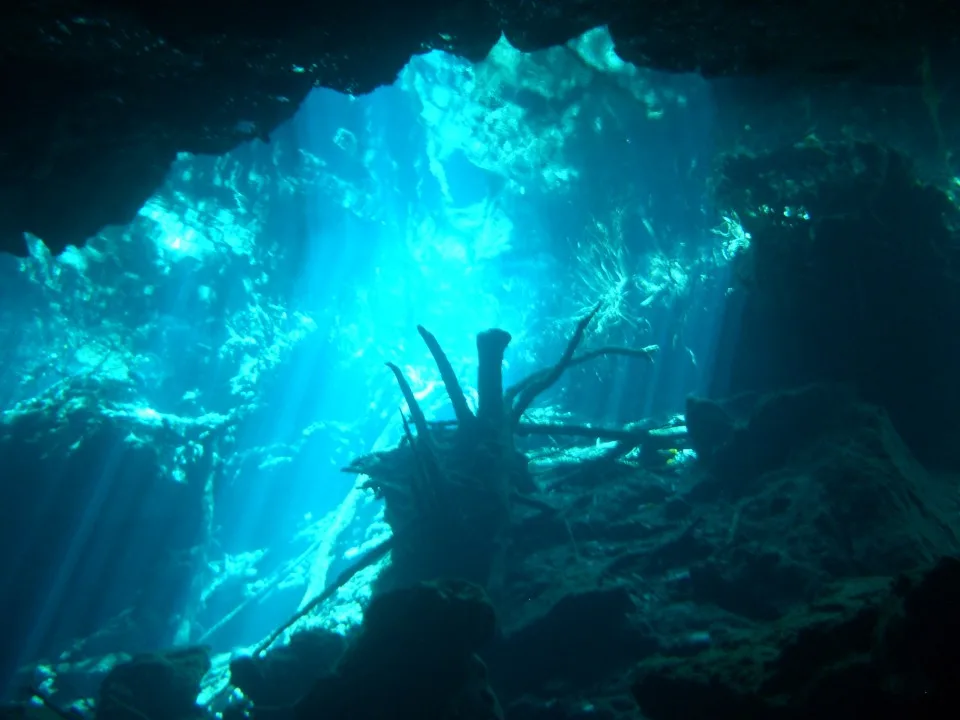 underwater photo of Cenote Kukulcan, Yucatan, Mexico