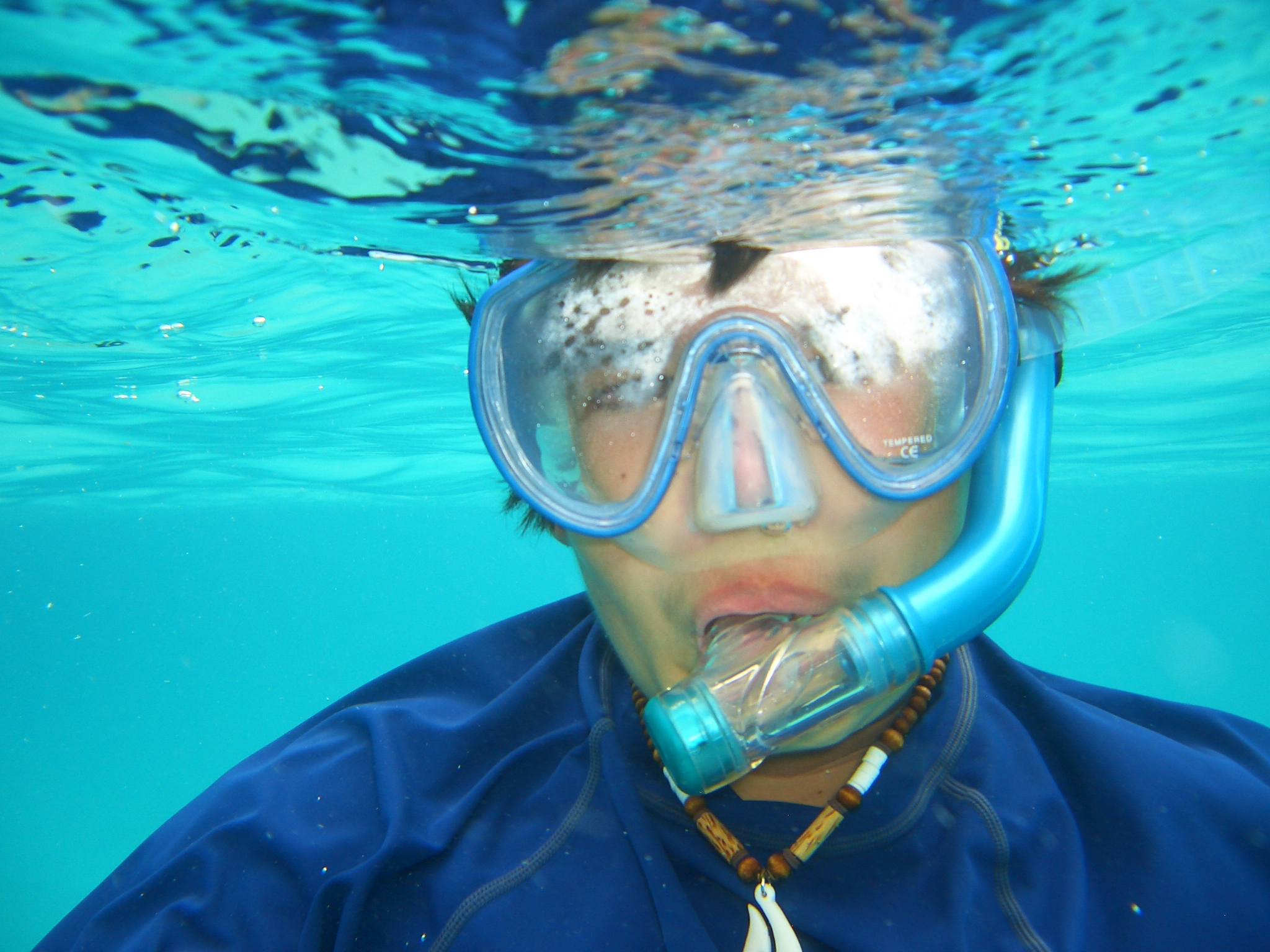 Distortions Under the Sea Scuba/snorkel the Cayman Islands