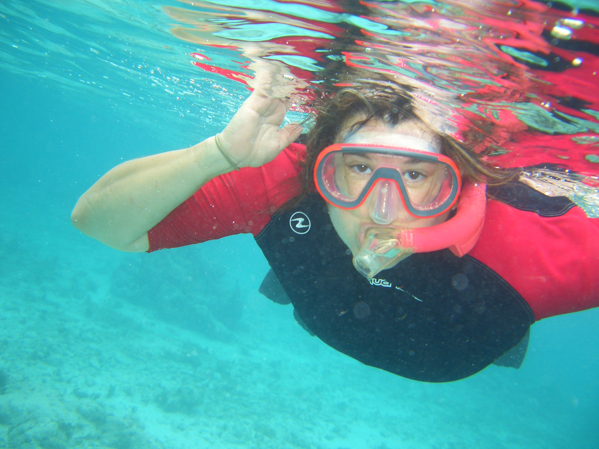 Distortions Under the Sea Scuba/snorkel the Cayman Islands