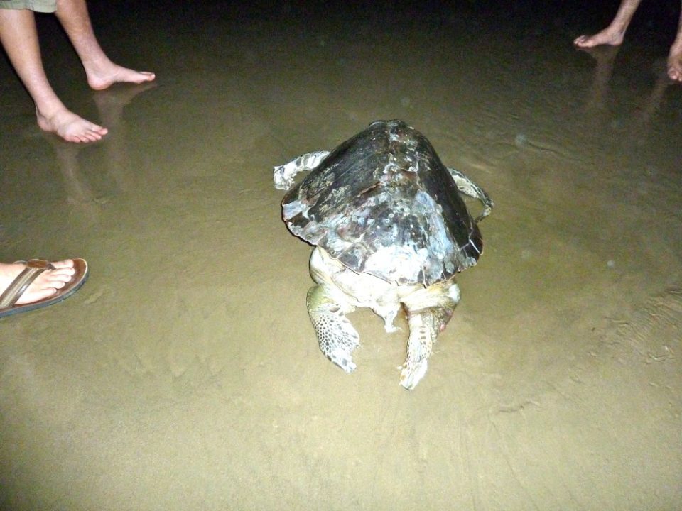 Montañita, Ecuador