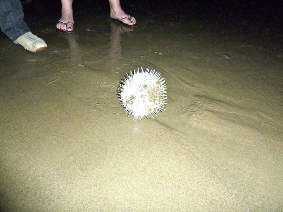 Montañita, Ecuador