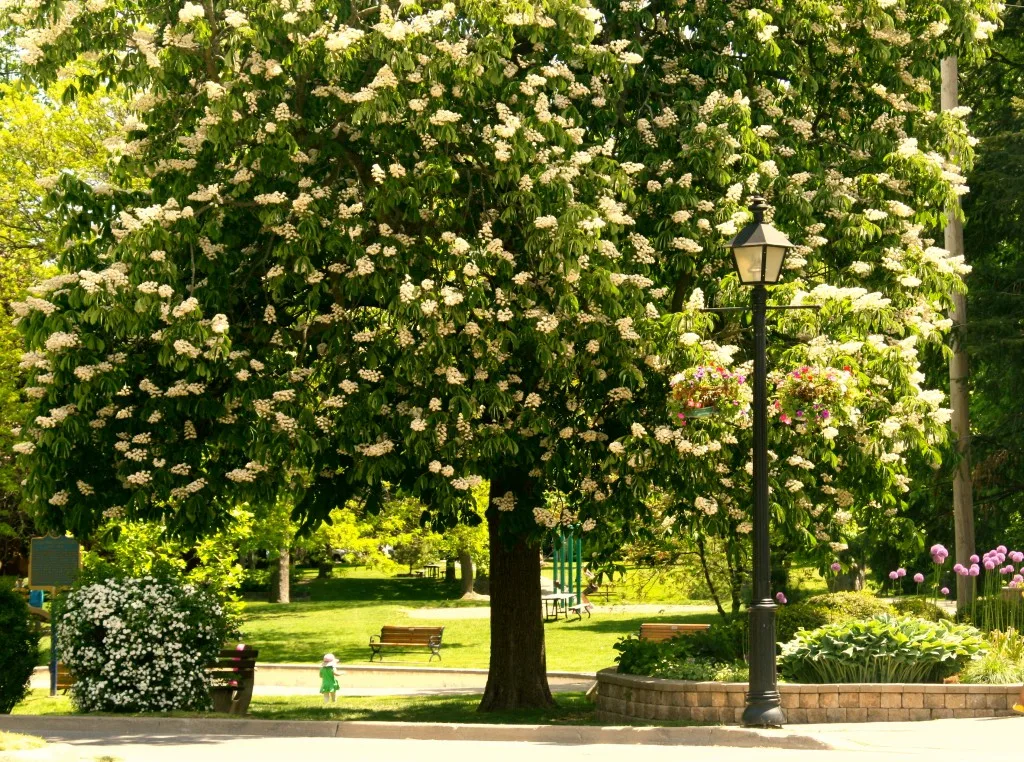 Niagara-on-the-Lake, Canada