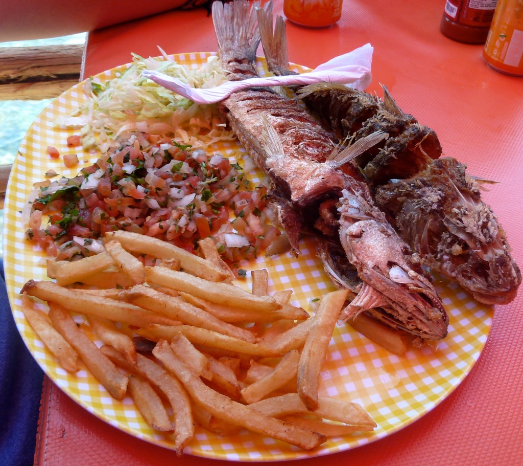 Fish in Puerto Penasco, AKA Rocky Point, Mexico