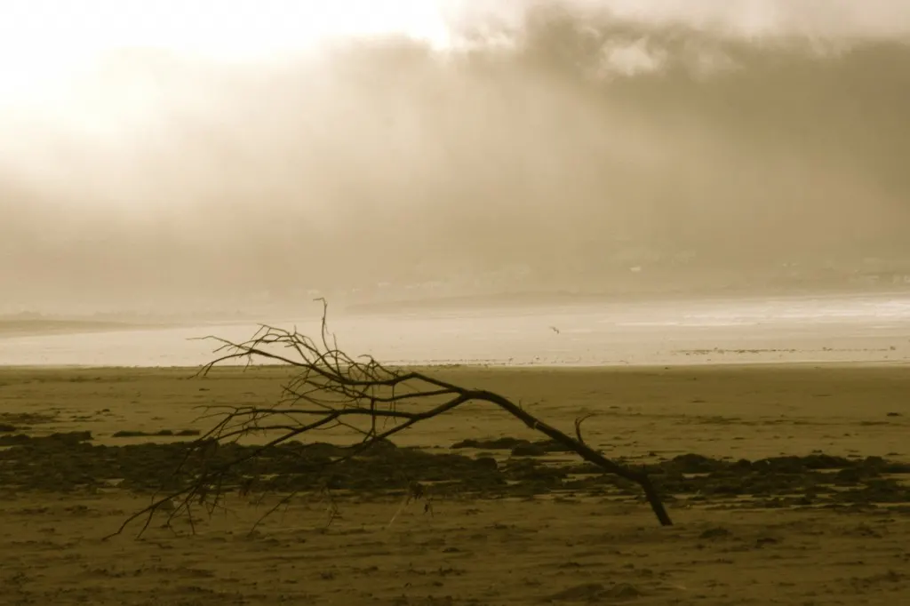 Inch Beach, Ireland