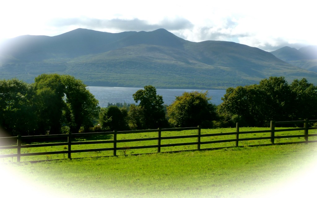 Ireland Countryside