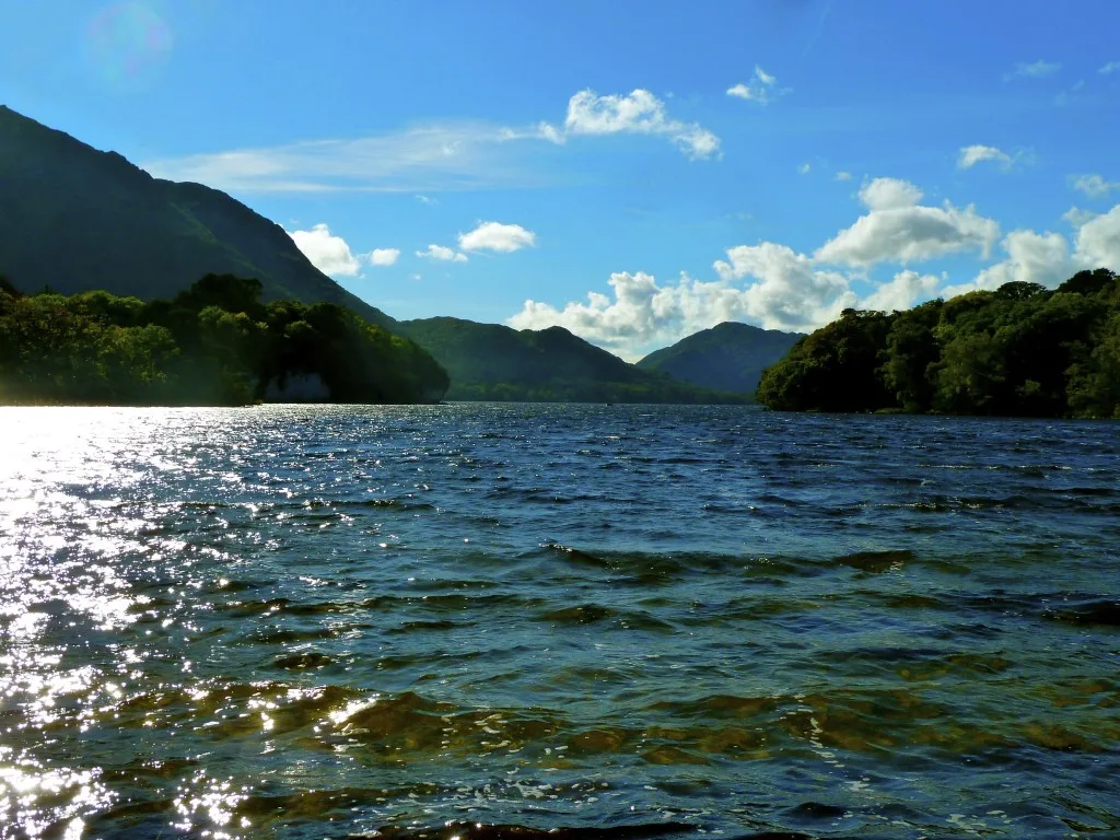 Muckross Farm, Killarney, Ireland