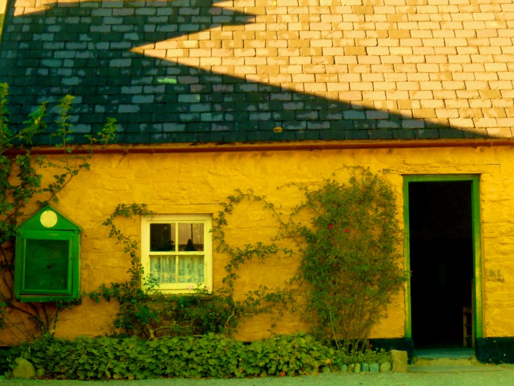 Muckross Farm, Killarney, Ireland