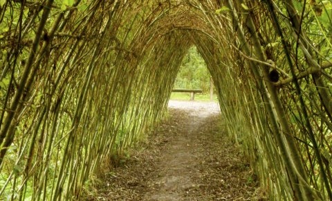 Kilarney, Ireland