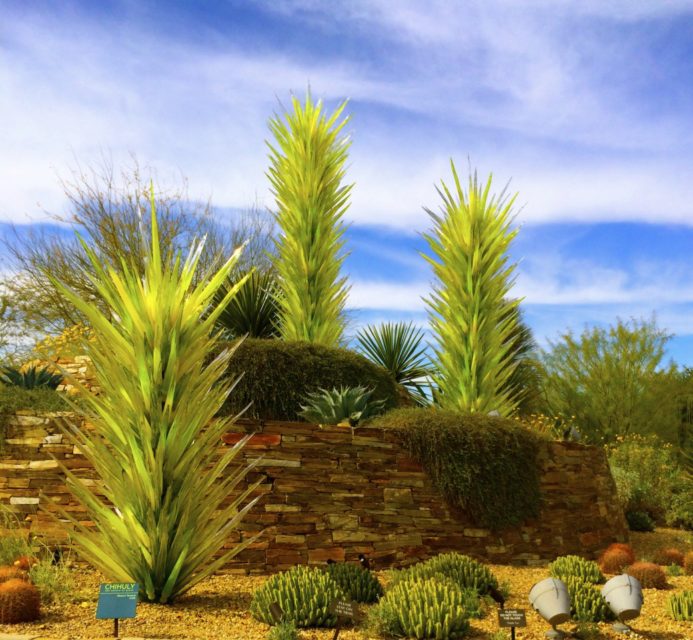 Desert Botanical Gardens, Chihuly Exhibit