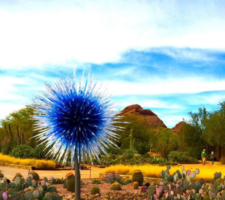The Incredible Sights Of Chihuly Phoenix Botanical Garden The Incredible Sights Of Chihuly Phoenix Botanical Garden