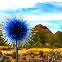 Chihuly Exhibit, Desert Botanical Gardens