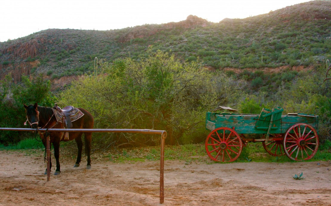 Western Destinations, Phoenix AZ