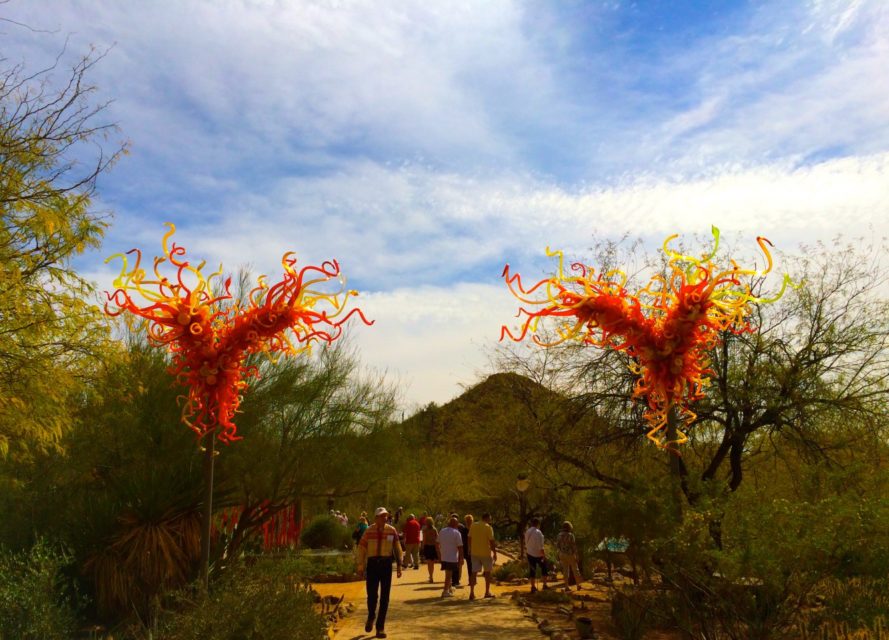 Chihuly Exhibit, Desert Botanical Gardens