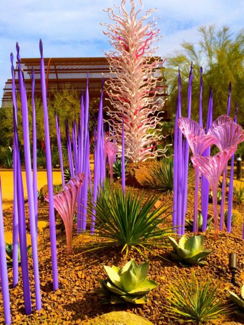 The Incredible Sights Of Chihuly Phoenix Botanical Garden