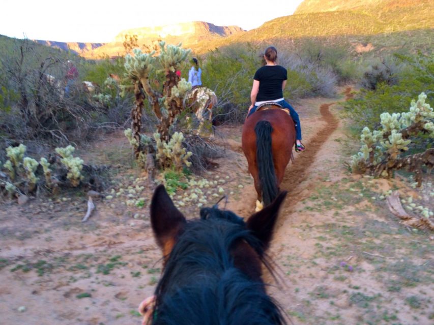 Western Destinations, Phoenix AZ