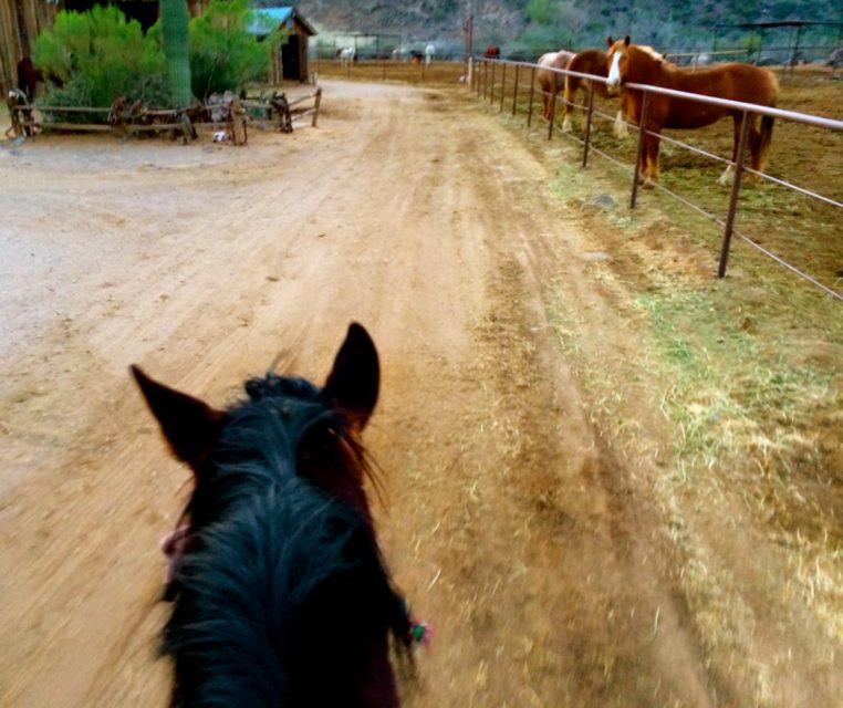 Western Destinations, Phoenix AZ