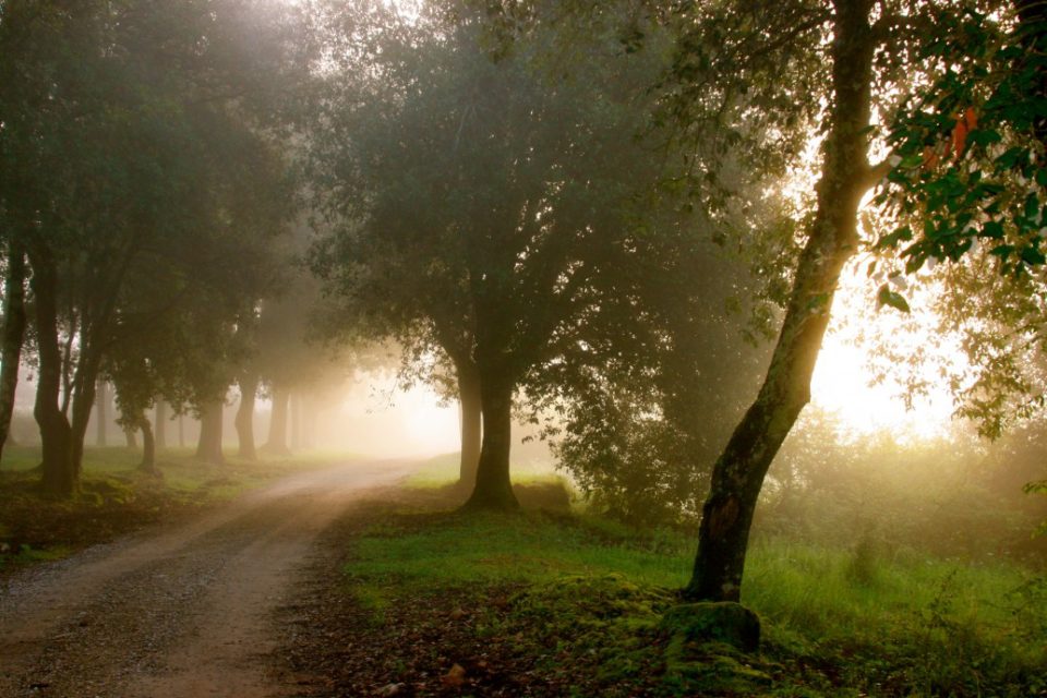 Montestigliano, Tuscany, Italy