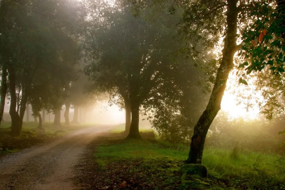 Montestigliano, Tuscany, Italy