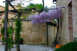 Villa Pipistrelli, Montestigliano, Tuscany Italy, best beaches in Tuscany