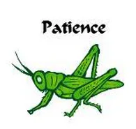 Patience Young Grasshopper!