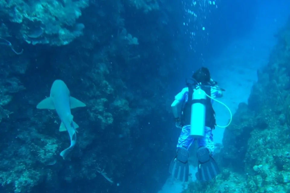 scuba dived, diving in Belize, Belize diving, Belize scuba diving, snorkeling Belize, Scuba diving Belize