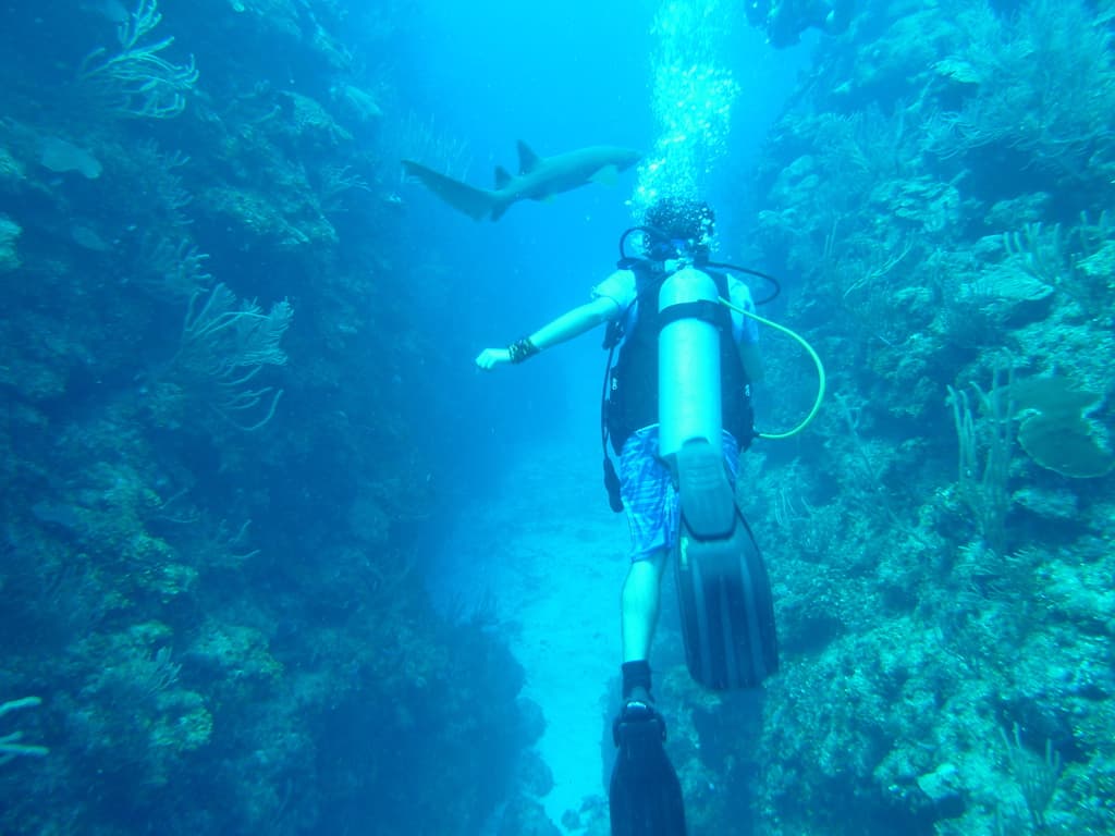 Scuba diving in Belize, Caye Caulker Belize, Caye, #CayeCaulker