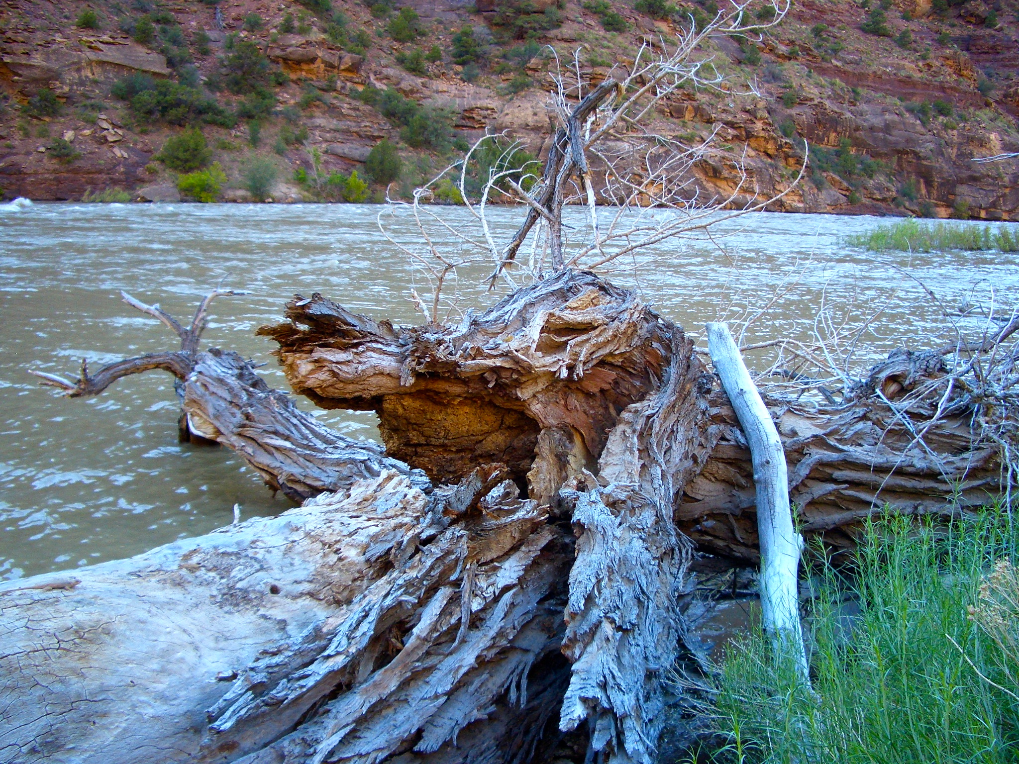 Green River, UT USA