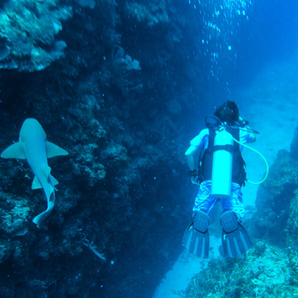 Diving, Ambergris Caye, Belize