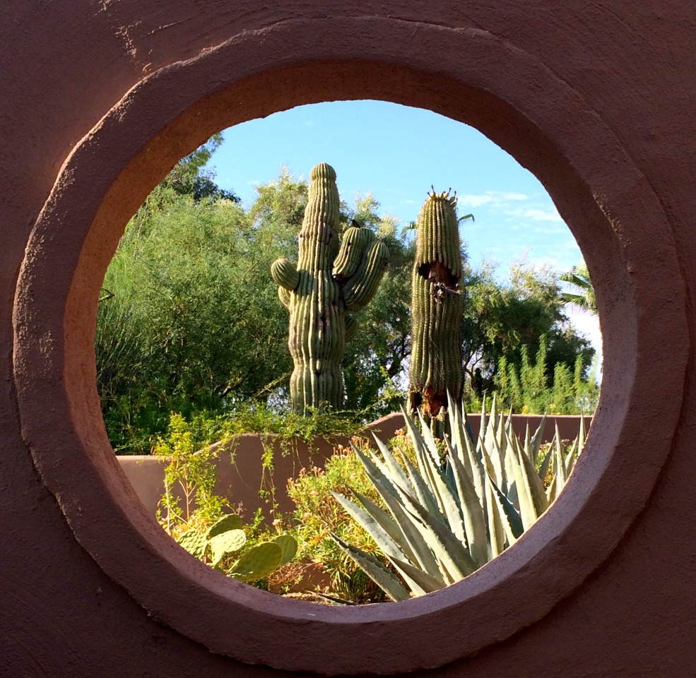 Staycation Arizona