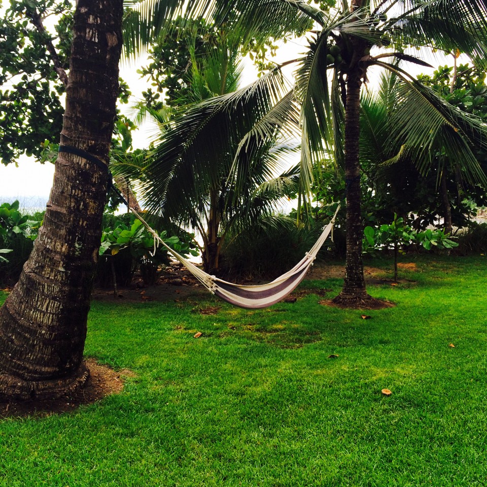 Costa Rican Yoga Retreat, Blue Osa Retreat & Spa Beach Resort, yoga costa rica, costa rica retreat