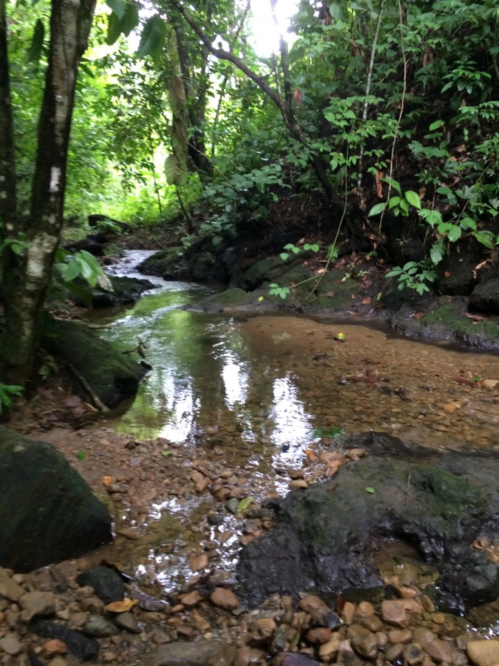 Rappel down Waterfall, Costa Rica, Blue Osa #CostaRica #BlueOsa