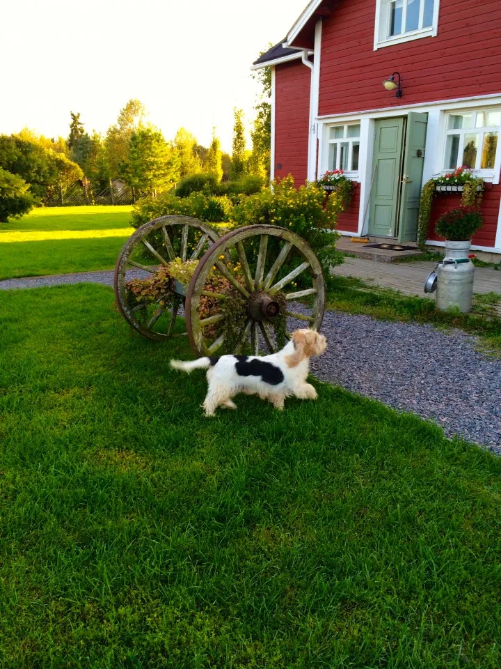 Liminka, Finland Farmhouse