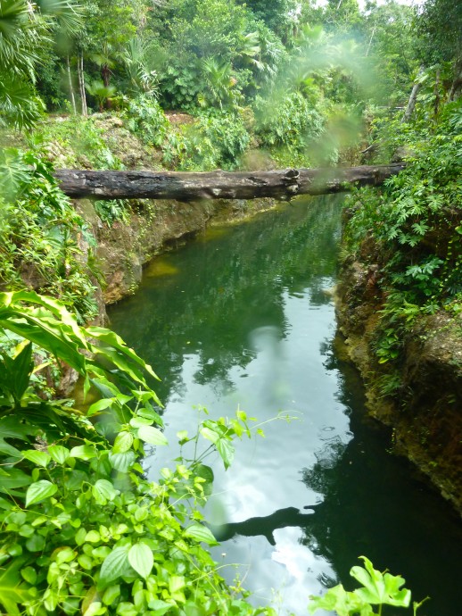 Xenotes Oasis Maya, Mexico