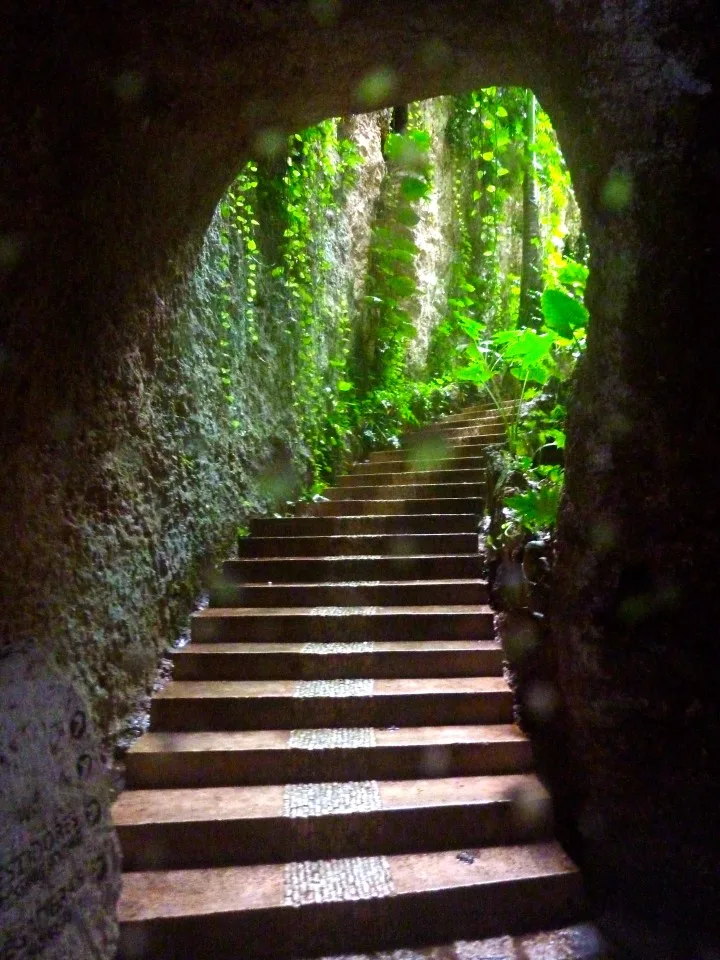 Xenotes Oasis Maya, Mexico