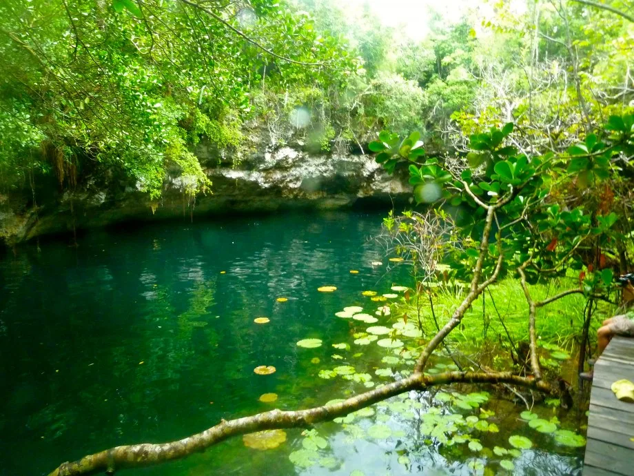 Xenotes Oasis Maya, Mexico