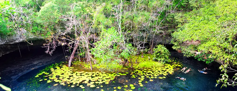 Xenotes Oasis Maya, Mexico