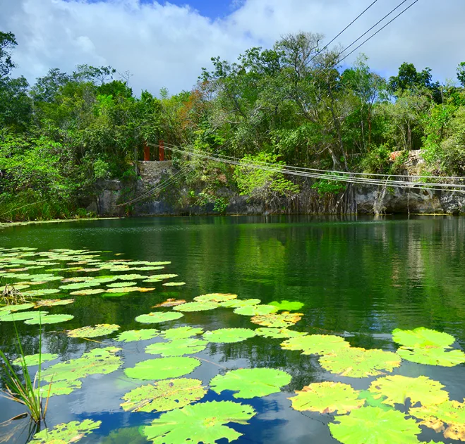 Xenotes Oasis Maya, Mexico