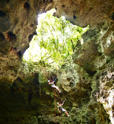 Xenotes Oasis Maya, Mexico