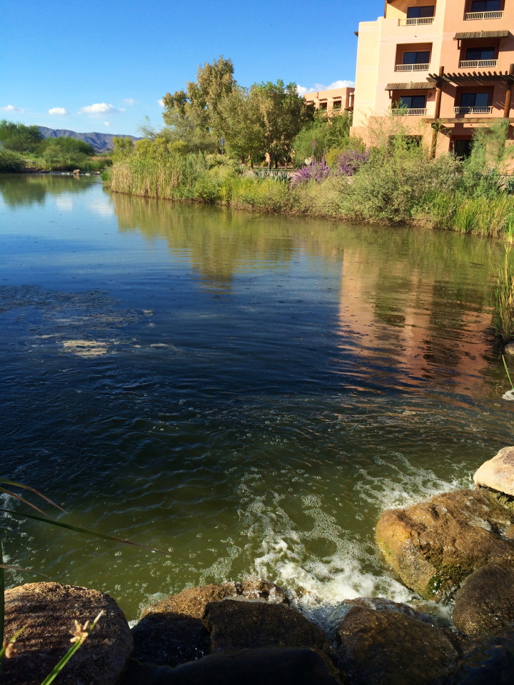 Sheraton Wild Horse Pass, Phoenix, AZ