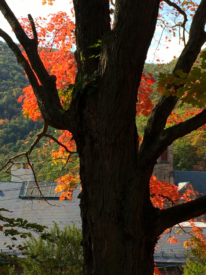 Jim Thorpe, PA USA