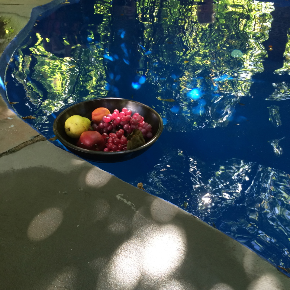 Finger Bowl at Grey Towers, Milford, PA